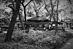 蕎麦處