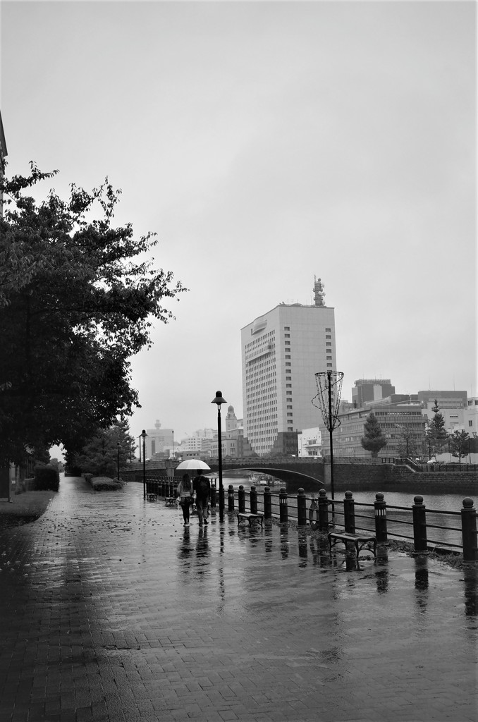 雨