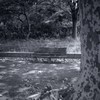 ベンチ