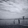 横浜港を望む