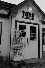 TOYS