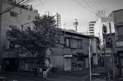 マリンタワーのみえる街