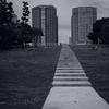 ある歩道