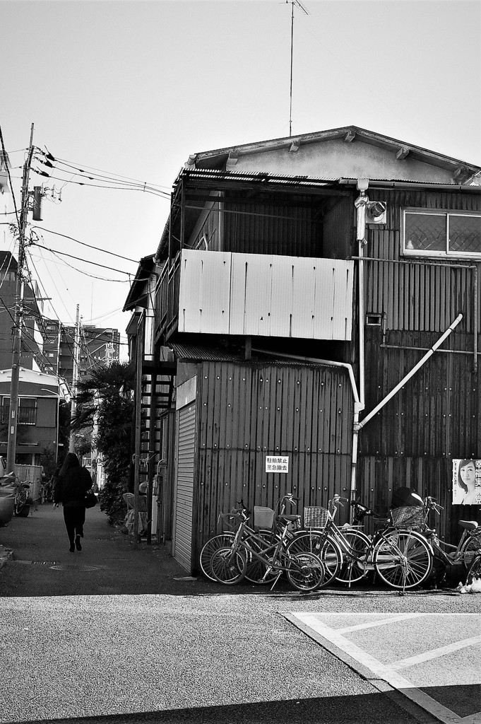 小路をいく