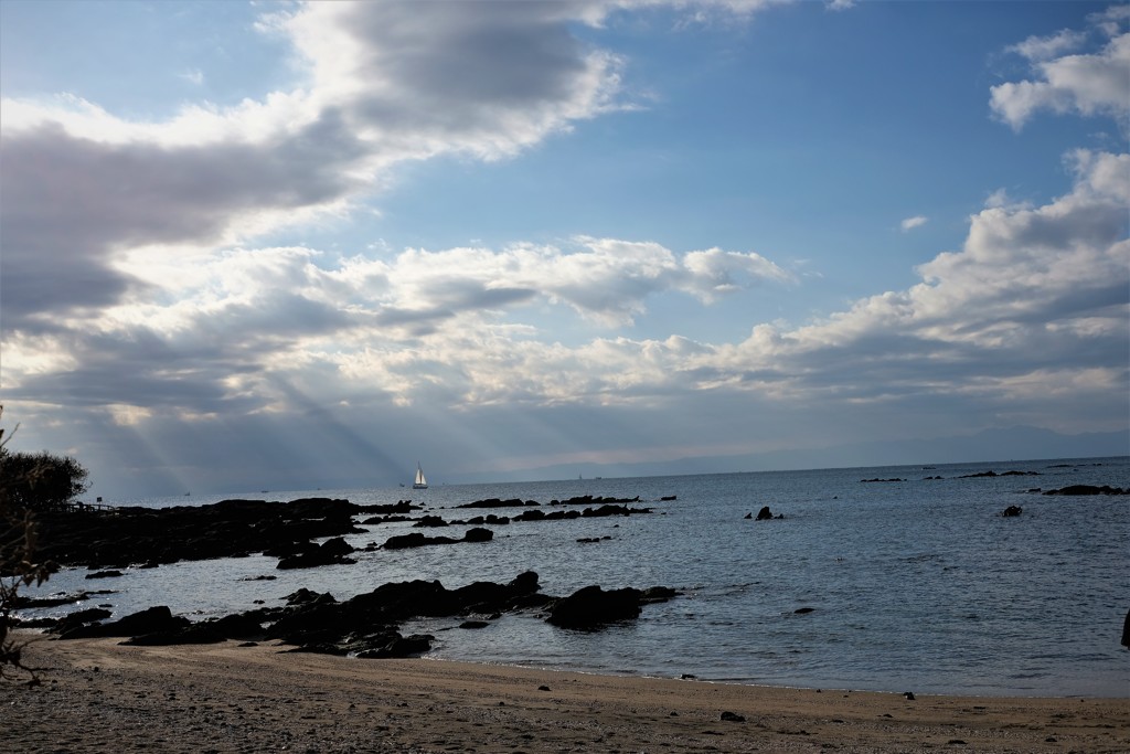 佐島の海 (2)