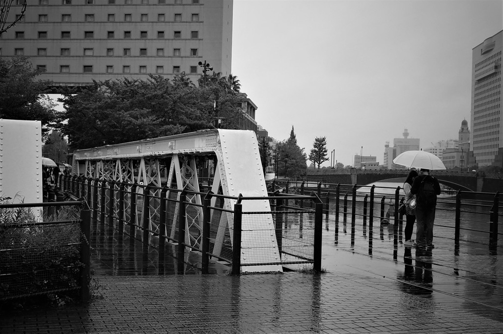 雨の汽車道 (2)