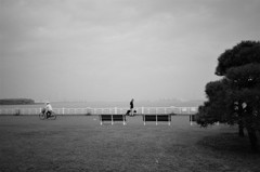朝の公園点景