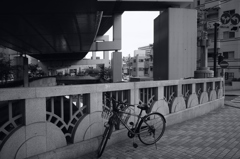 高架下の自転車