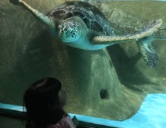 こんにちは