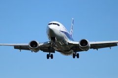飛行機