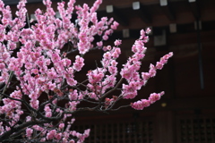城南宮