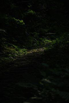 宇津江四十八滝