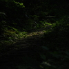 宇津江四十八滝