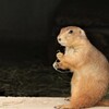 一休み