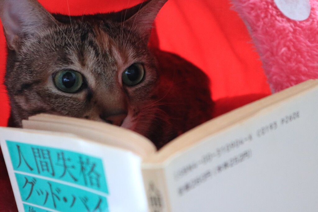 読書の秋