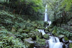 養老の滝