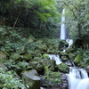 養老の滝
