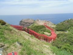 山口県長門市油谷「元乃隅稲成神社」