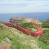 山口県長門市油谷「元乃隅稲成神社」