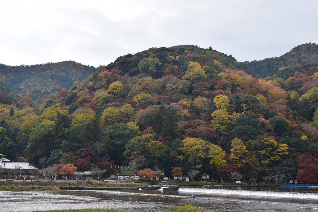 秋の京都