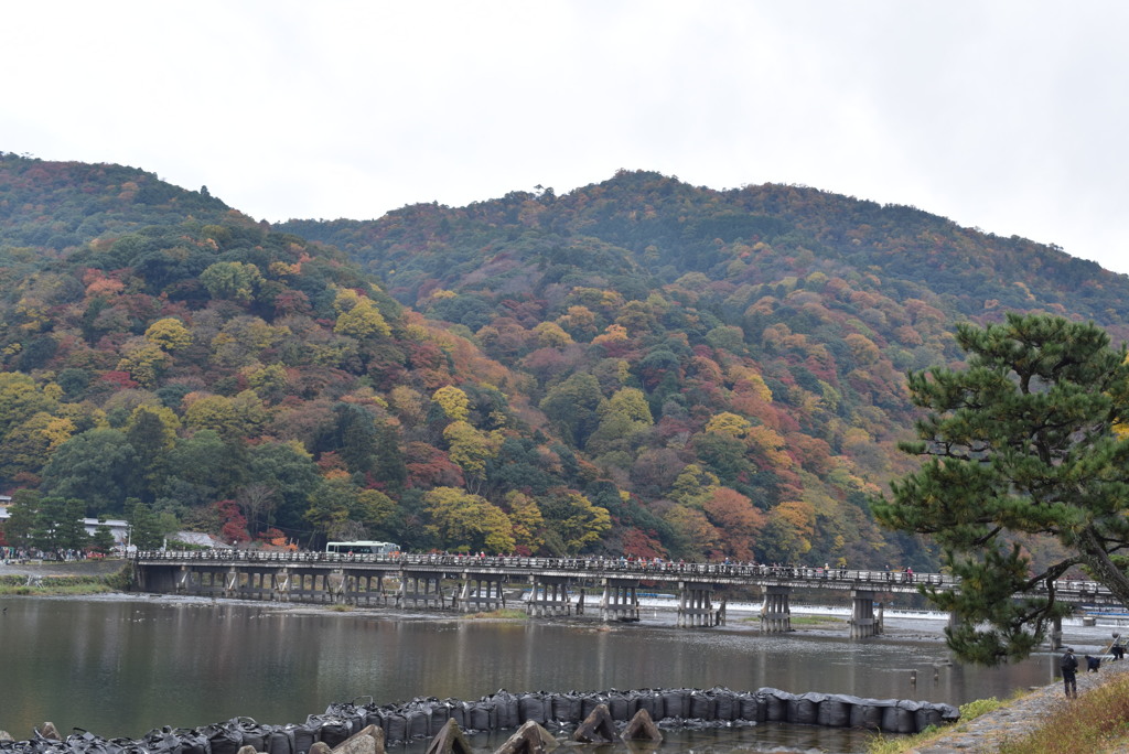 秋の嵐山