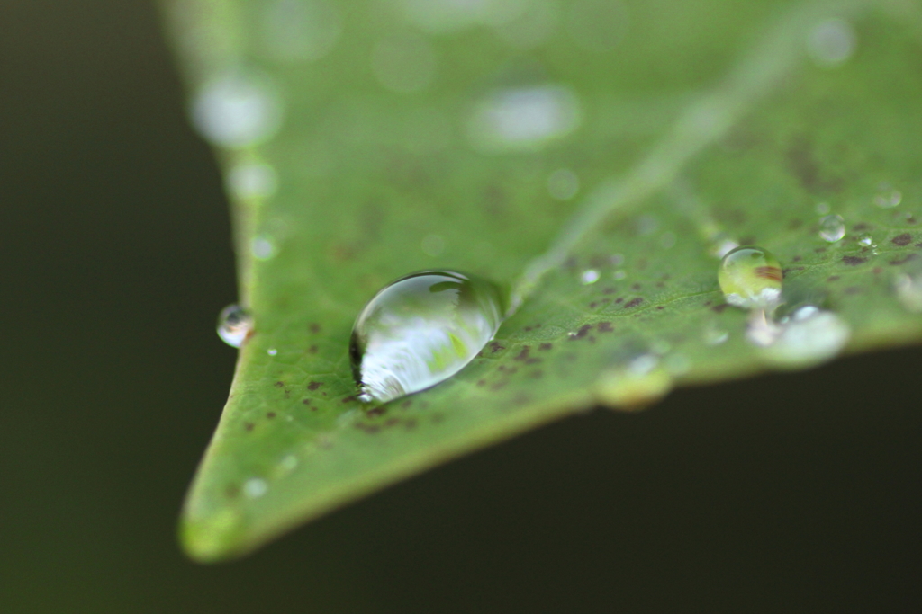 雨上がり