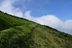 伊吹山１　2021年7月23日