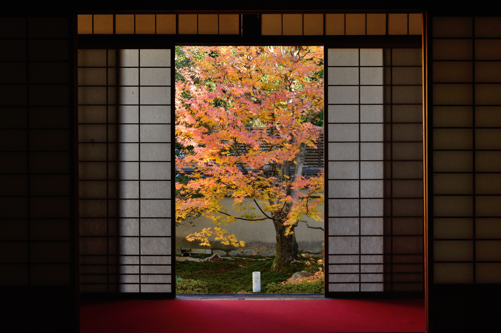 雲龍院３　幅広掛軸