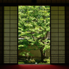 雲龍院２　悟りの間