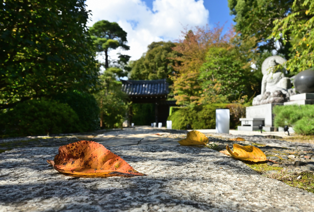 参道