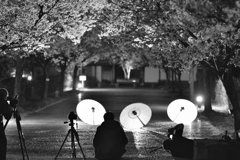 Photographer