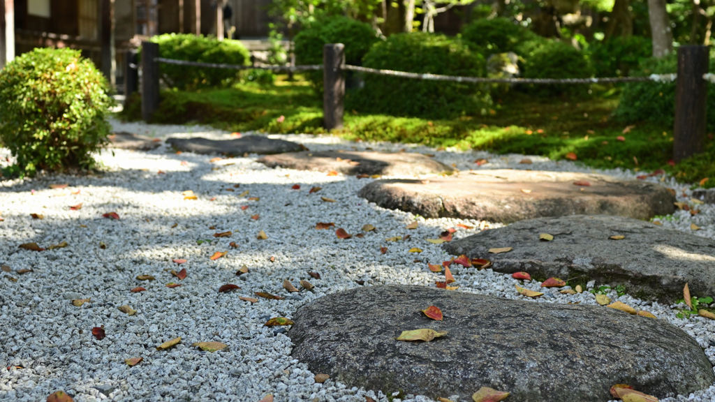 圓光寺３　落ち葉