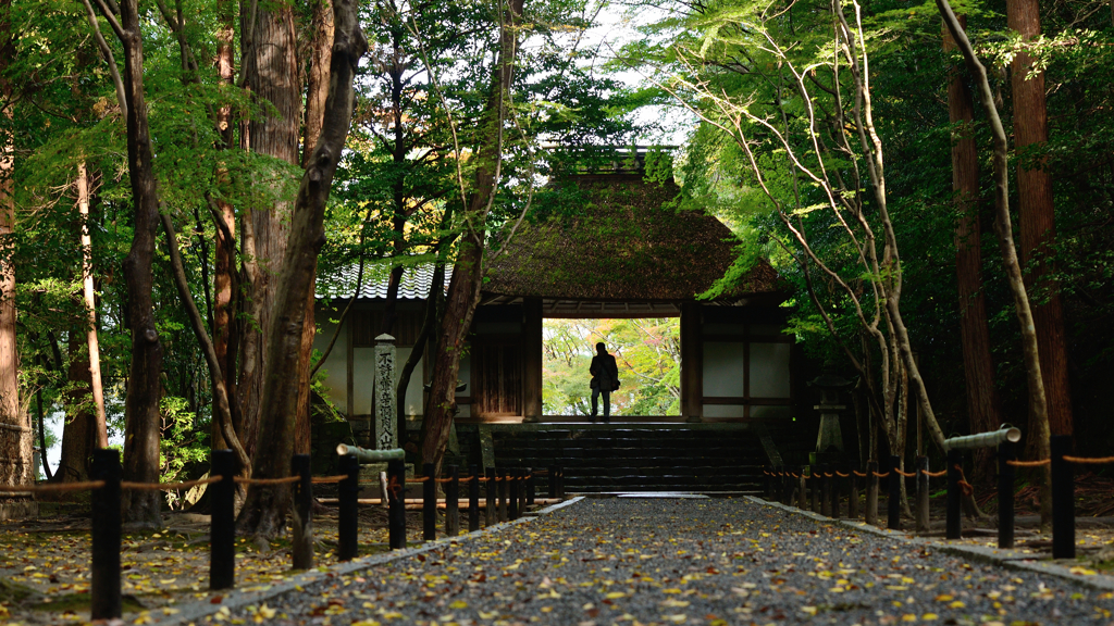 法然院１　木漏れ日の山門