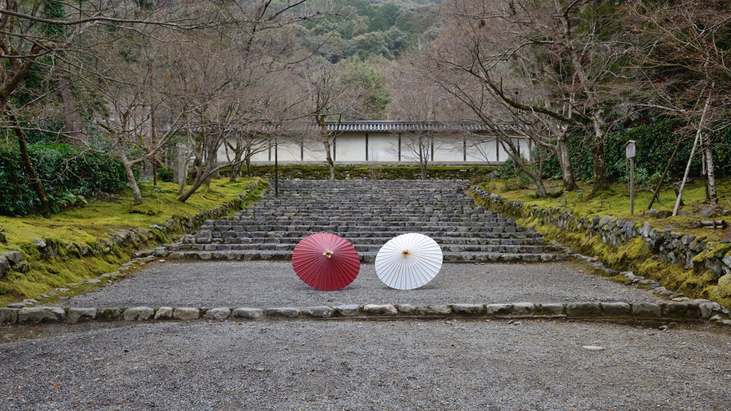 二尊院１　冬の参道