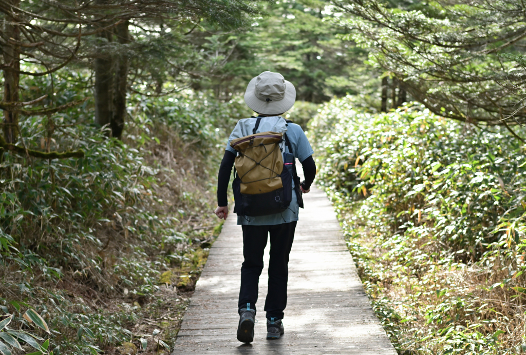 木道をゆく