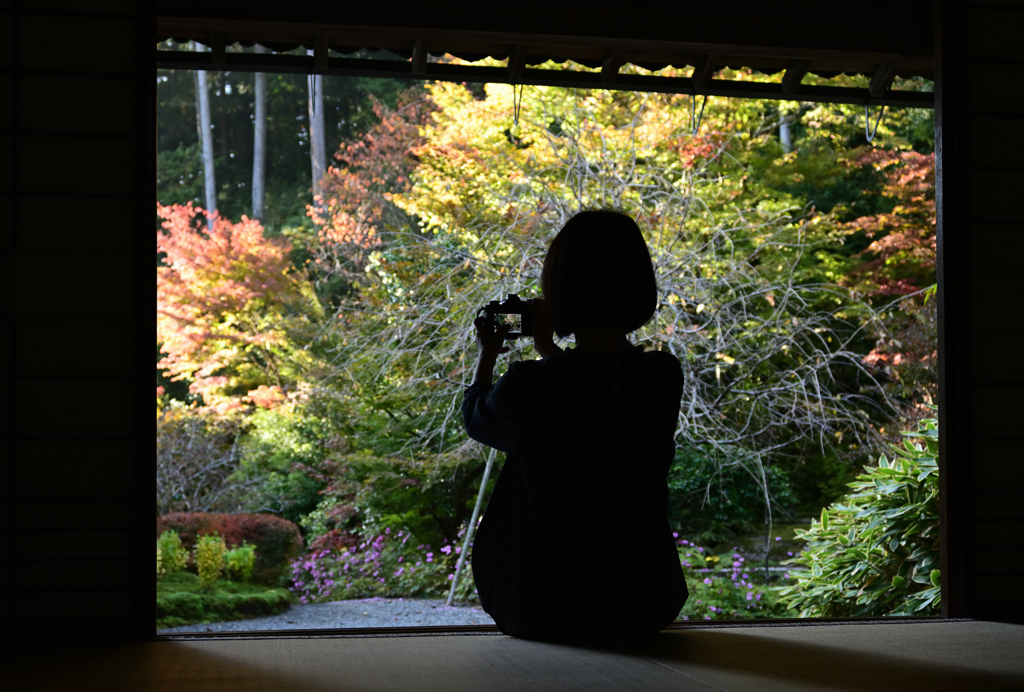 いいの撮れてますか？　近江孤篷庵　紅葉