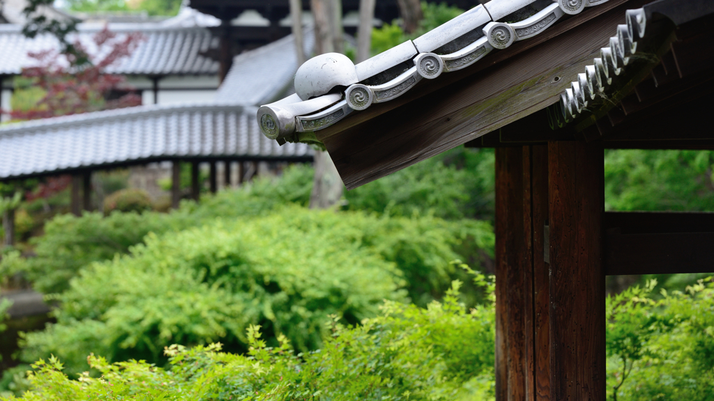 東福寺５