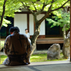 建仁寺２　いいの撮れましたか？