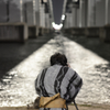 琵琶湖大橋　いいの撮れてますか？