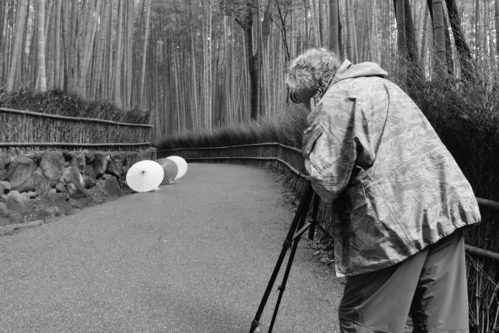竹林の道２　Photographer