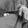 竹林の道２　Photographer