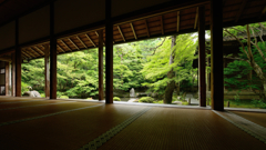 蓮華寺２