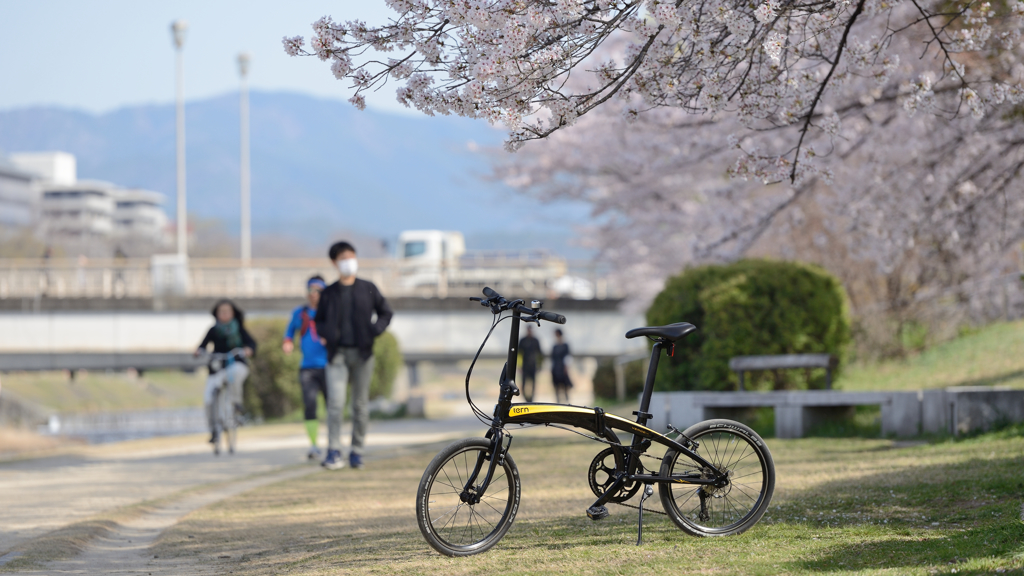 京都フォタリング　～桜咲く京都シリーズ～