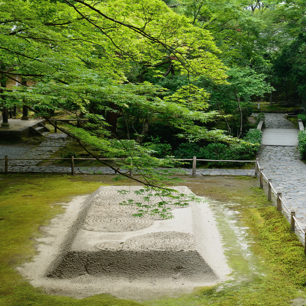 法然院３　雫の波紋