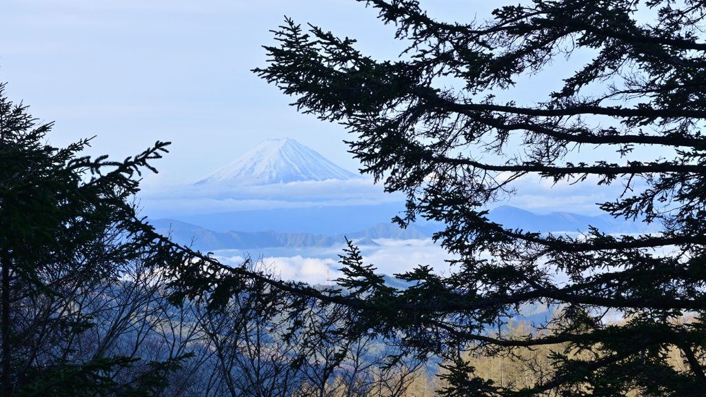 大菩薩嶺２　チラッと富士山