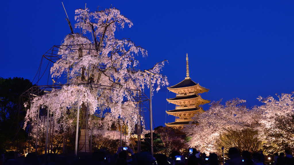 東寺１　ブルーアワー