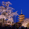 東寺１　ブルーアワー
