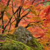 宝厳院２　獅子岩