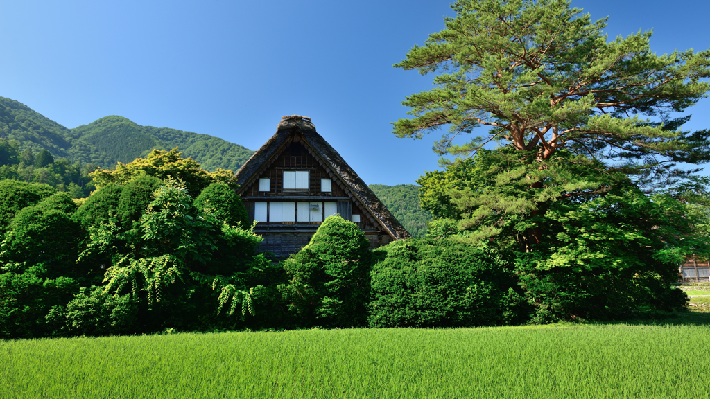 白川郷２　青空の下の和田家