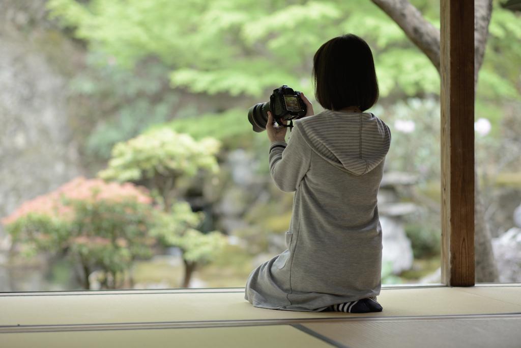 慈恩禅寺５　いいの撮れてますか？